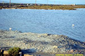 33 SANTA POLA LES SALINES (30)